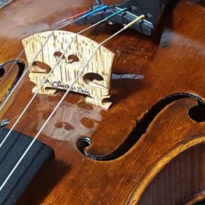Chevalet et cordes d'un violon